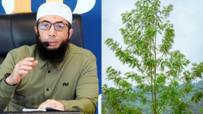 Tanam Pohon ini di Rumah agar Daunnya untuk Usir Setan dan Obat Sihir, Kata Ustaz Khalid Basalamah kalau Sunnah Rasulullah SAW...