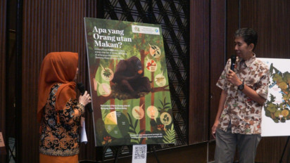 Bermula Dari Penelitian Pakan untuk Orang Utan Kalimantan, Peneliti Justru Temukan Produk Perawatan Kulit Ini