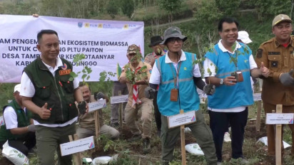 Dukung Net Zero Emisi, PLN NP UP Paiton Tanam Pohon di Lahan 1.800 Hektar