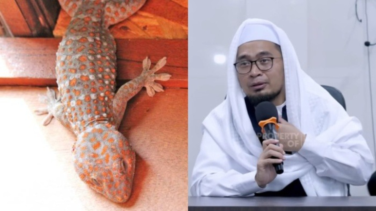 Meski Tempat Tinggalnya di Rumah, Selama Cicak Muncul Harus Perhatikan Hal ini Kata Ustaz Adi Hidayat Bawa Tanda...
            - galeri foto