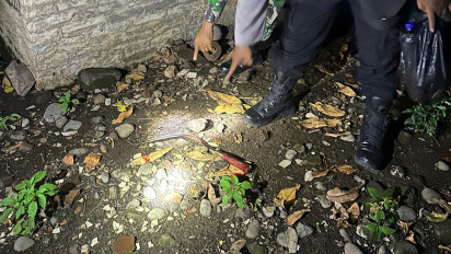 Gegara Mabuk, Dua Pemuda di Lumajang Terlibat Duel Carok