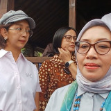 Menteri PPPA sebut Kasus Daycare Little Aresha merupakan Pelanggaran HAM: Tak Dapat Ditoleransi