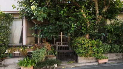 Tak Perlu Ragu Lagi Untuk Tanam Pohon Ini di Depan Rumah, Ustaz Khalid Basalamah: Sesuai dengan Sunnah Rasul