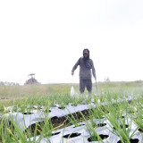 Cerita Petani di Tanah Humbang Hasundutan, Harapan Baru dari Program Lumbung Pangan