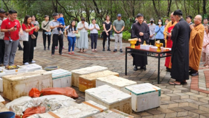 Jaga Keseimbangan Ekosistem Hayati, Young Budhist Association Tebar Ribuan Benih Ikan di Kebun Raya Mangrove Surabaya