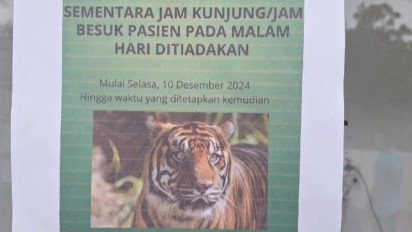 Hindari Ancaman Harimau Sumatera, RSUD Muhammad Thohir Pesisir Barat Lampung Tutup Jam Besuk Malam