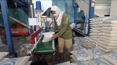 Pemerintah Jamin Stok Beras di DIY Mencukupi Hingga Maret 2025