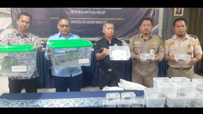 Libur Nataru, Petugas Bea Cukai Juanda Gagalkan Penyelundupan Puluhan Satwa Ilegal yang Akan Diekspor ke Hongkong