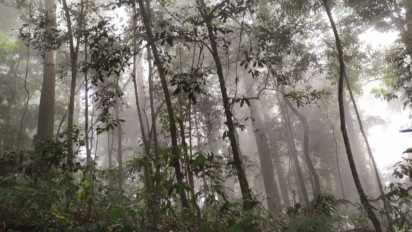 Pemprov Aceh Didorong Lahirkan Kebijakan Tata Ruang Sesuai Perspektif Islam