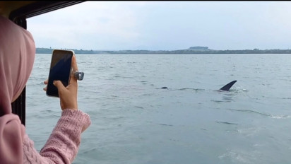 Wisata Nataru, Berburu Fenomena Hiu Tutul di Pantai Bentar Probolinggo