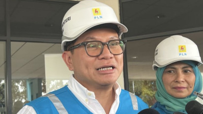 Danantara Meluncur Maret 2025, Wamen BUMN Ungkap Tengah Persiapkan Pembagian Tugas: Mohon Bersabar!