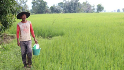 Pemprov Lampung Usulkan Peningkatan Daerah Irigasi Baru 3.225 Hektare