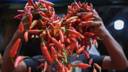Harga Pangan Turun, Tapi Harga Cabai Rawit Merah Masih Mahal!