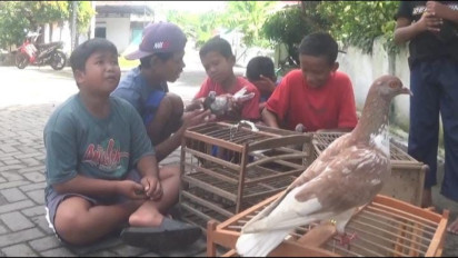 Pelajar di Jombang Pilih Bermain Burung Merpati saat Liburan Sekolah