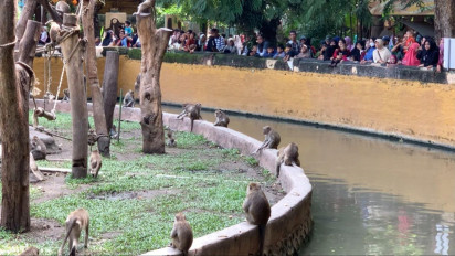 Kebun Binatang Surabaya masih Favorit untuk Libur Nataru bagi Masyarakat