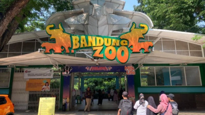 Viral soal Satwa Stres di Bandung Zoo, Farhan Masih Tunggu Hasil Penelitian Para Ahli