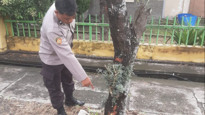Dikira Dikejar Klitih, Warga Bantul Alami Luka Usai Kecelakaan Tunggal Tabrak Pohon