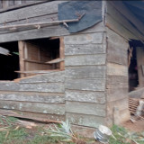 Kawanan Gajah Liar Rusak Tujuh Rumah Warga di Tanggamus Lampung, Tidak Ada Korban Jiwa