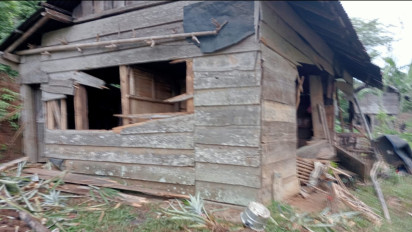 Kawanan Gajah Liar Rusak Tujuh Rumah Warga di Tanggamus Lampung, Tidak Ada Korban Jiwa