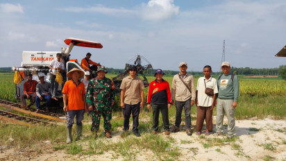 ID FOOD Optimalkan Aset untuk Dukung Swasembada Pangan