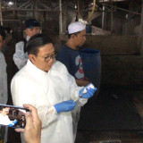 Kementan Imbau Daerah Tingkatkan Kewaspadaan Penularan Penyakit Hewan Akibat Cuaca Ekstrem, PMK Bisa Jadi Momok untuk Ternak