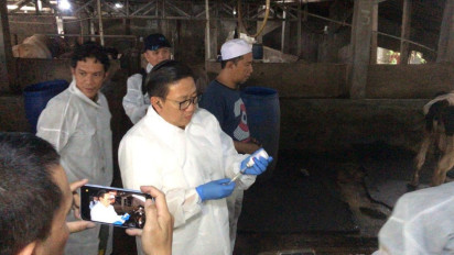 Kementan Imbau Daerah Tingkatkan Kewaspadaan Penularan Penyakit Hewan Akibat Cuaca Ekstrem, PMK Bisa Jadi Momok untuk Ternak