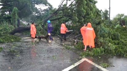 Hujan Deras Disertai Angin Kencang, Belasan Pohon Tumbang di Akses Jembatan Suramadu