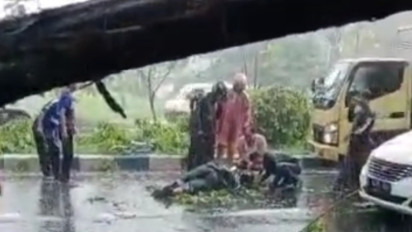 Pohon Tumbang di Jalan Raya Juanda Sidoarjo, Pengendara Motor Tertimpa dan Luka-Luka