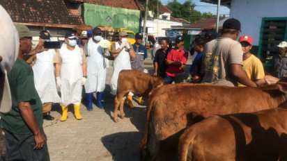Dinas Peternakan Jombang Sidak Pasar Hewan untuk Cegah Penyebaran PMK