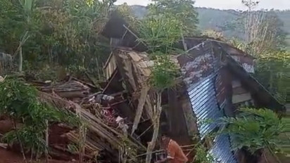 Kawanan Gajah Liar "Bunga" Berhasil Dikembalikan ke Hutan TNBBS Setelah Rusak Belasan Rumah