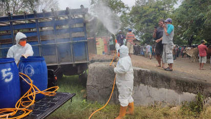 Ternak yang Terpapar Penyakit Mulut dan Kuku di Jawa Tengah Tembus 2.666 Ekor