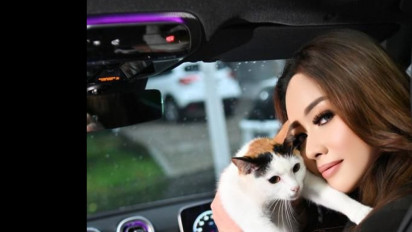 Viral Warga Gading Kirana Pasang Plang Larangan Kasih Makan ke Kucing, Lirabica Geram