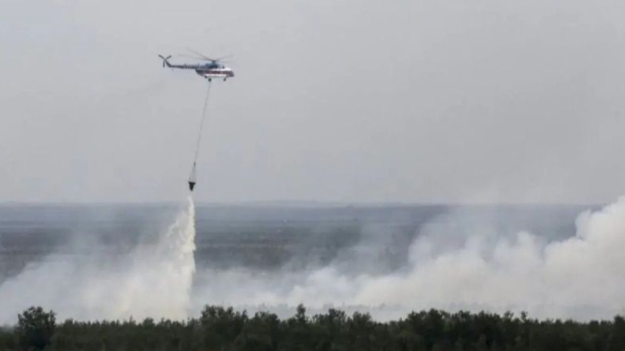BNPB: 629 Karhutla Terjadi di Indonesia Sepanjang 2024
            - galeri foto