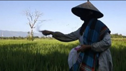 KTNA: Semangat Petani Menjadi Kunci dalam Meningkatkan Produktivitas Pertanian