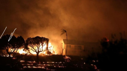 Karhutla di LA Meluas, Kamala Harris Batalkan Kunjungan ke Singapura