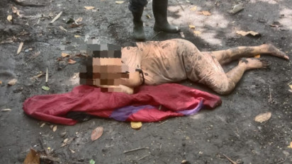 Sarang Tawon Vespa Maut di Sidoarjo, Dua Orang Meninggal Disengat