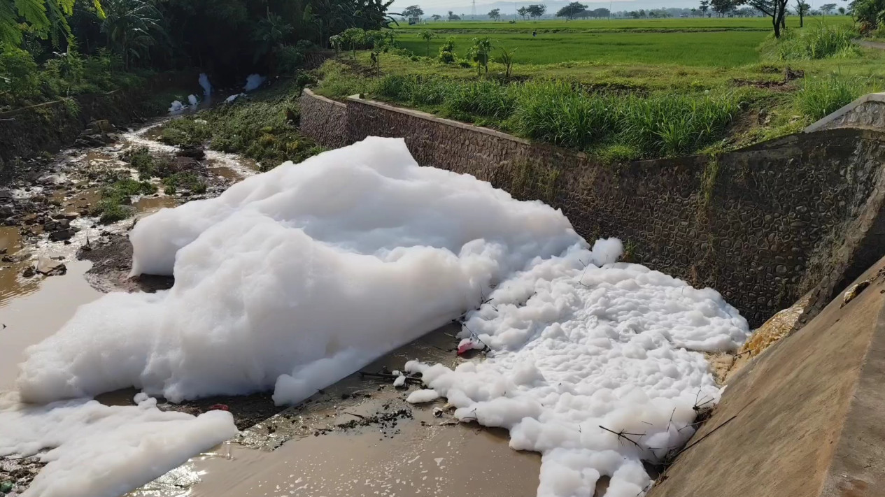 Viral Sungai Bibis di Pati Dipenuhi Busa, Diduga Tercemar Limbah
            - galeri foto