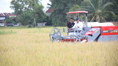 Harga Gabah di Sumsel Terendah, Presiden Perintah Bulog Terima Rp6.500 Mulai 15 Januari