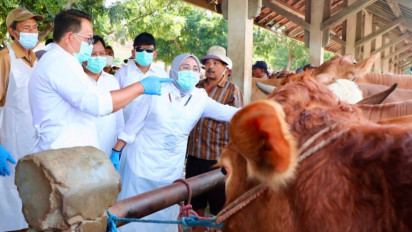 Antisipasi Wabah PMK, Pj Gubernur Jatim Sidak Pasar Hewan Ternak di Probolinggo