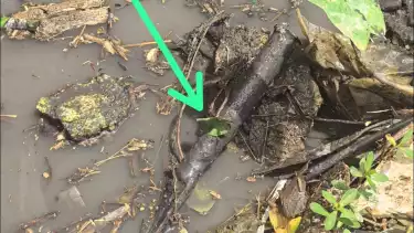 Polisi telah mengamankan barang bukti berupa pisau dapur yang digunakan oleh Nanang Gimbal untuk membunuh aktor Sandy Permana.