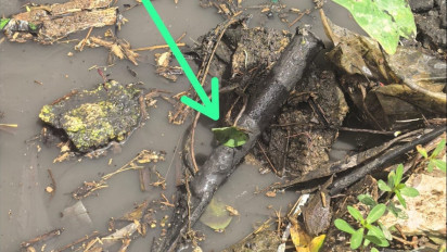 Polisi Sita Pisau Dapur yang Digunakan Nanang Gimbal untuk Bunuh Sandy Permana