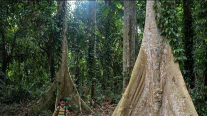 Pasal 33 UUD 1945 Diangkat Lagi, Ahli Hukum Tekankan Soal Pengelolaan Sumber Daya Alam secara Bertanggung Jawab