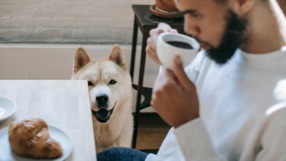 Khasiat Ajaib Minum Kopi Tanpa Gula dengan Makan Pisang Pagi Hari, dr Zaiduk Akbar Sebut...