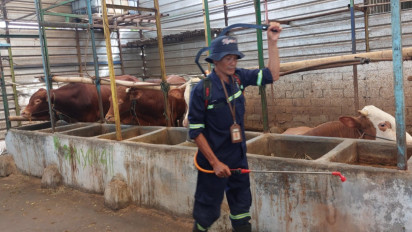 Antisipasi Penyebaran PMK, Pemkab Semarang Alokasikan 6000 Dosis Vaksin