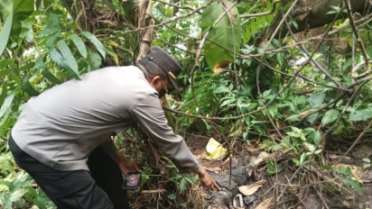 Geger Kerangka Manusia Ditemukan Pencari Biawak di Tebing Sungai Purbalingga