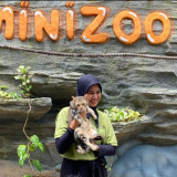 Viral Piuw, Kucing di Jember yang Pintar Atraksi