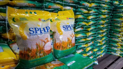 Bulog Maksimalkan Penyerapan Beras untuk Menjaga Cadangan Pemerintah