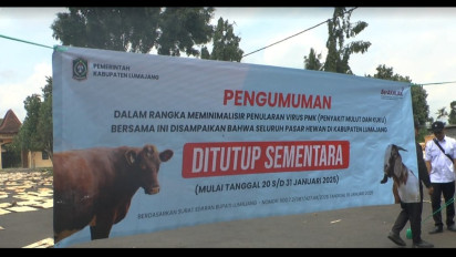 Ramai Kasus PMK, Pasar Hewan di Lumajang Ditutup Sementara