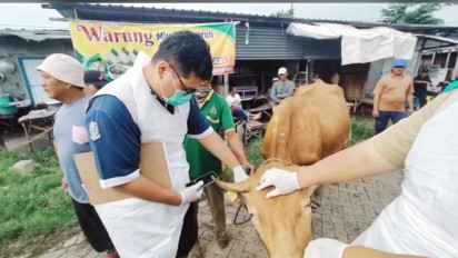 Pasar Hewan Nganjuk Tetap Beroperasi meski Puskeswan Temukan 54 Sapi Terindikasi PMK