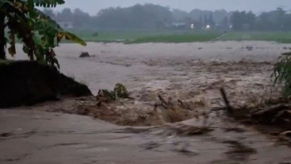 Tanggul Jebol, Hektaran Sawah di Ponorogo Terendam Banjir